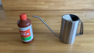 観葉植物の日頃の手入れ