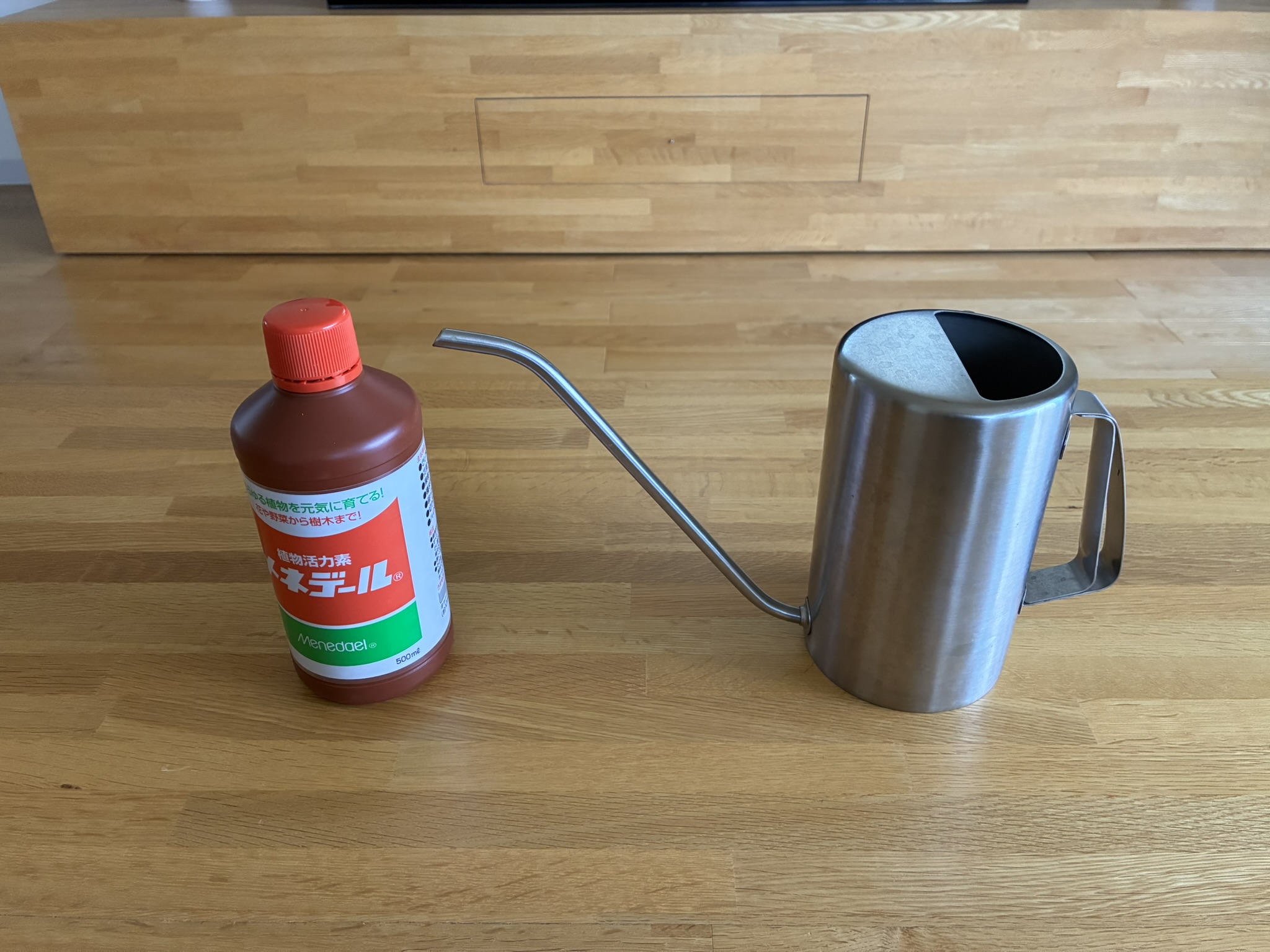 観葉植物の日頃の手入れ