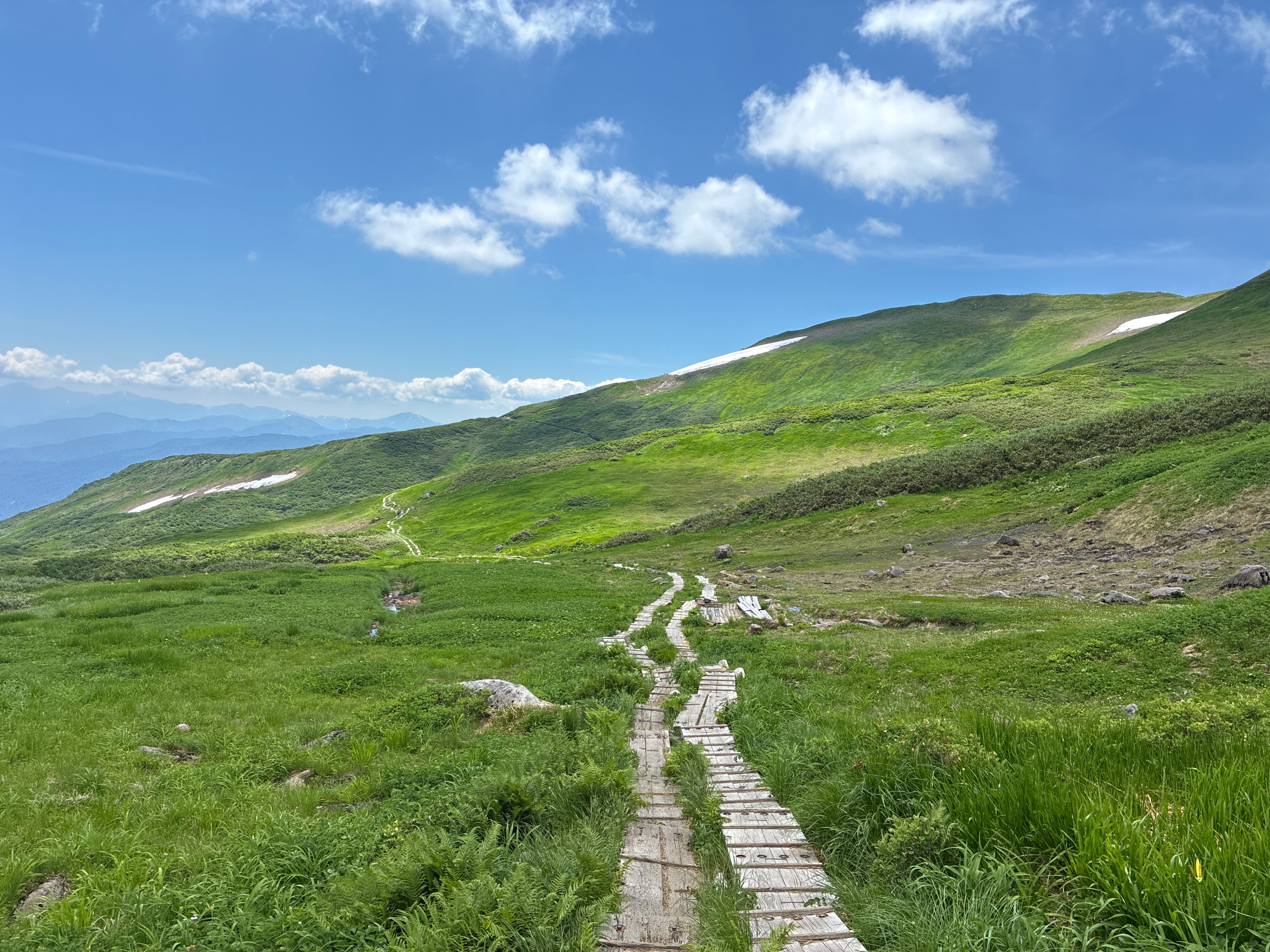 【日本百名山】月山（2025年7月）