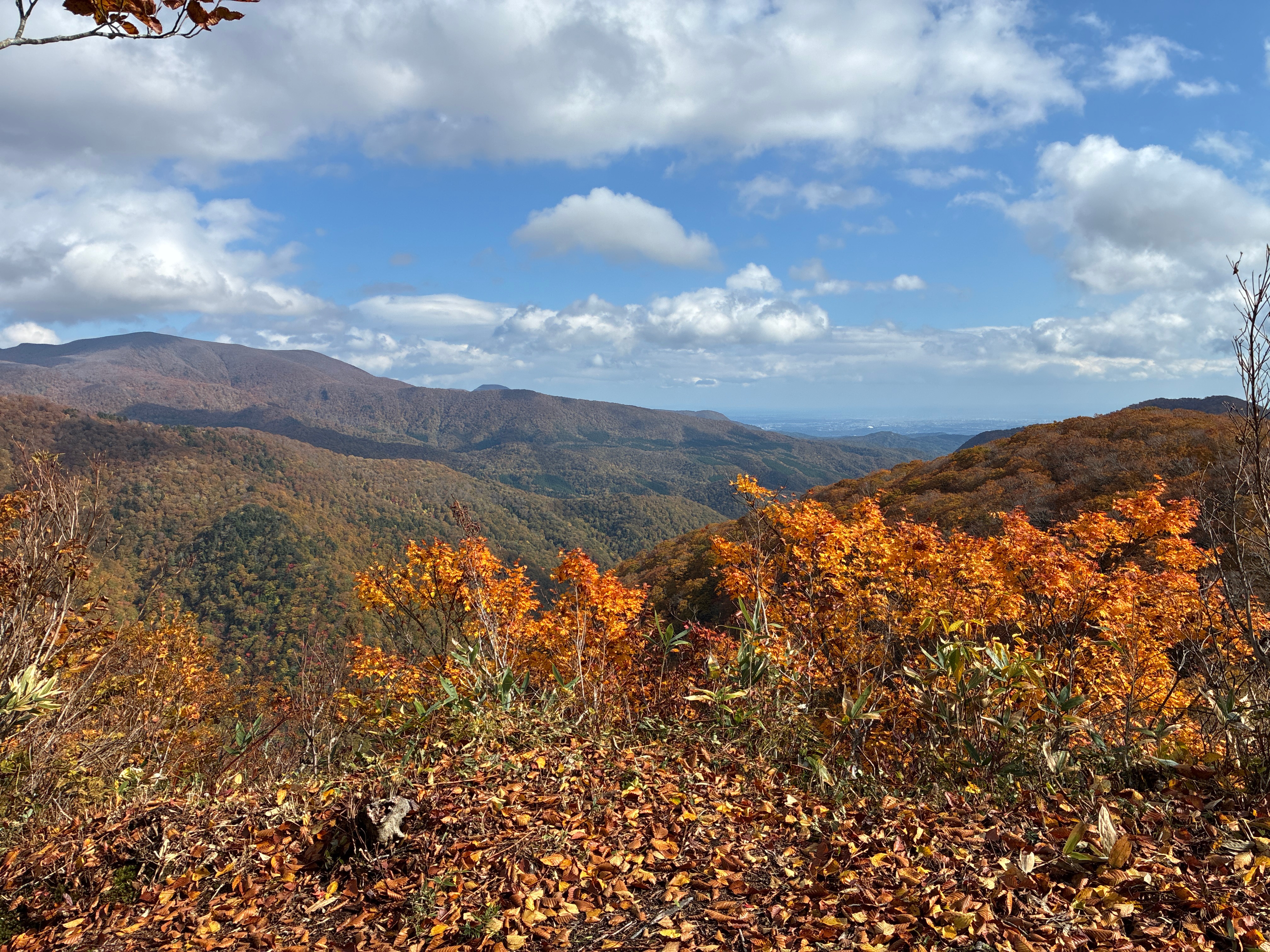寒風山（2025年10月）
