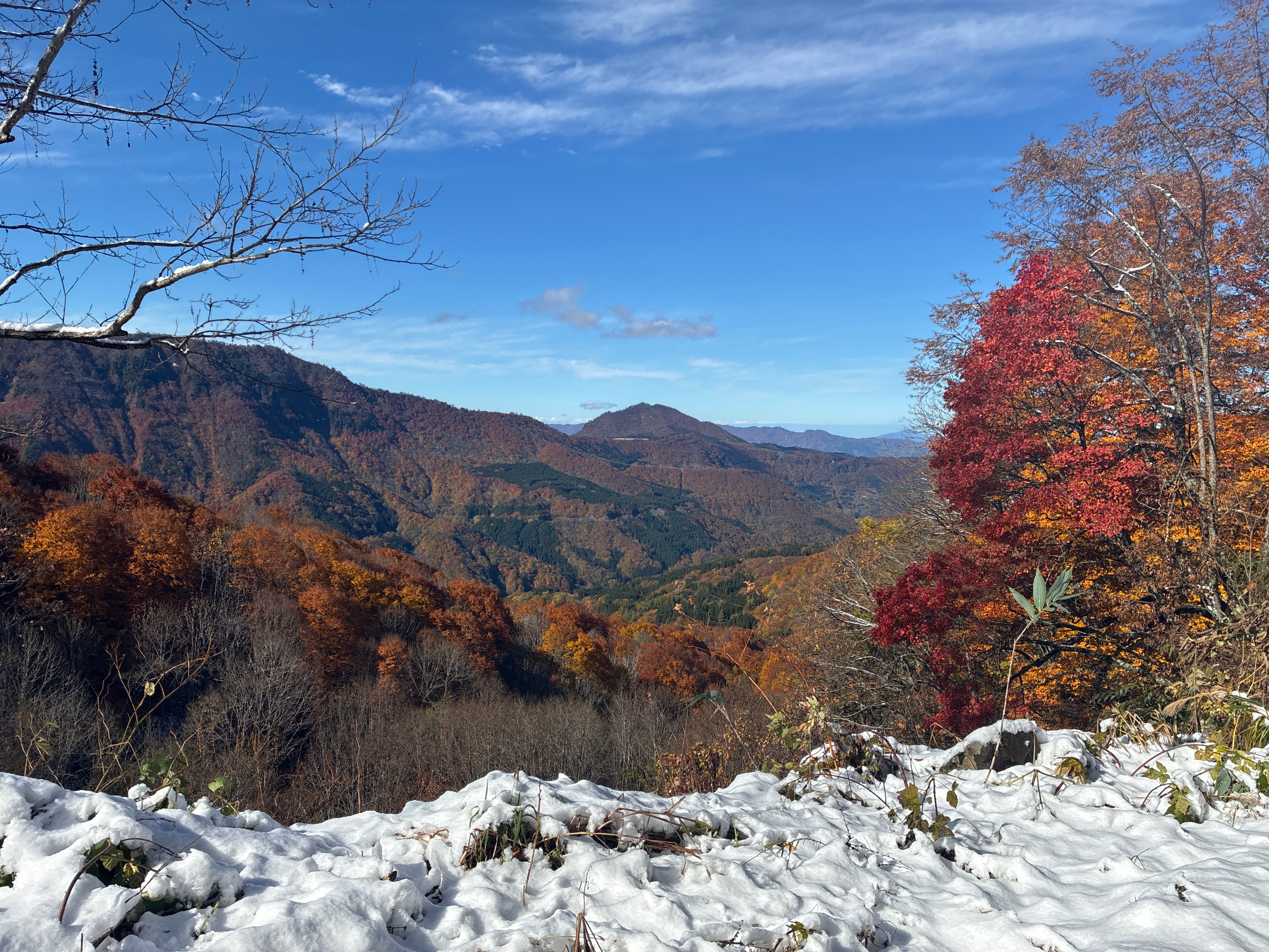 【日本百名山】苗場山　6号目手前撤退（2025年11月）